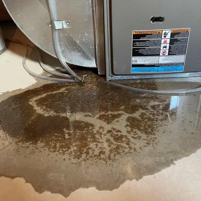 Pipe Burst and Leak Restoration in Dale, IN
