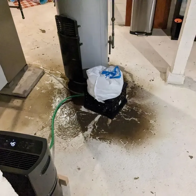 Sewage Backup Cleanup Service in Dale, IN